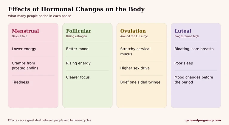 Common body effects in each phase: lower energy and cramps, better mood, stretchy cervical mucus, and bloating and sleep changes