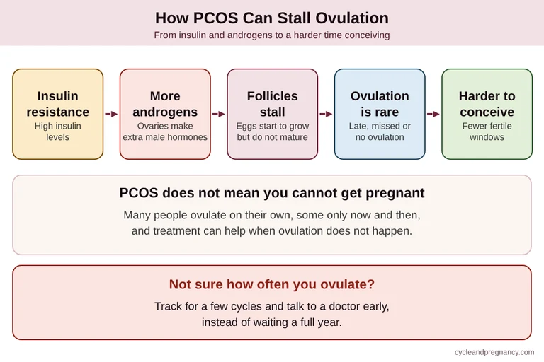 PCOS and fertility: how insulin resistance and high androgens stall follicles and ovulation