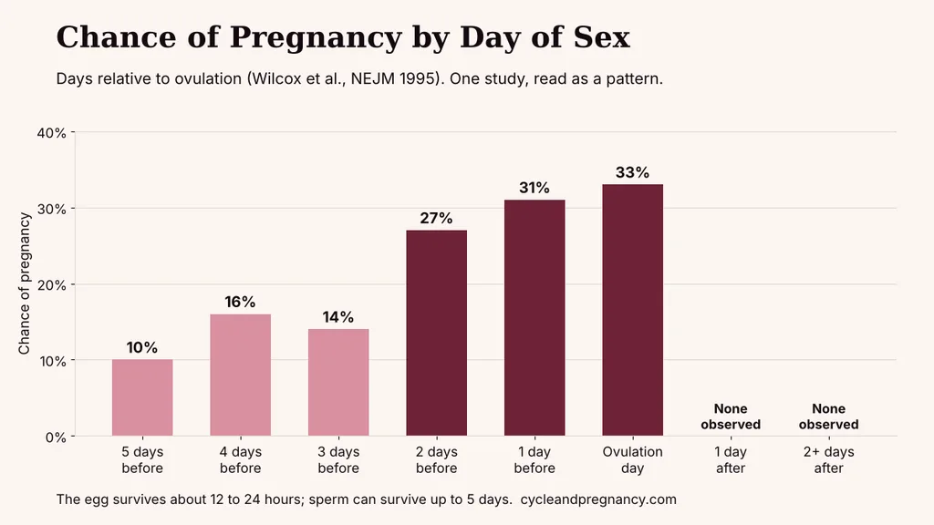 Chance of pregnancy by day of sex relative to ovulation: about 10% five days before, 27% two days before, 31% one day before, 33% on ovulation day and no pregnancies observed after ovulation (Wilcox 1995)