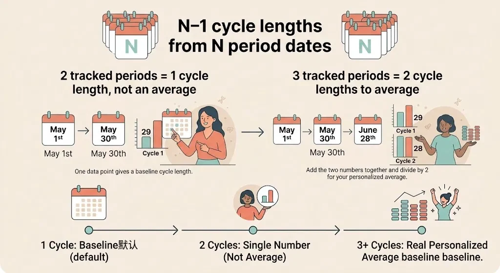 How to Calculate Your Menstrual Cycle From Date to Date 3 Infographic: 2 tracked period dates give 1 cycle length, not an average, and 3 tracked dates give 2 cycle lengths to average