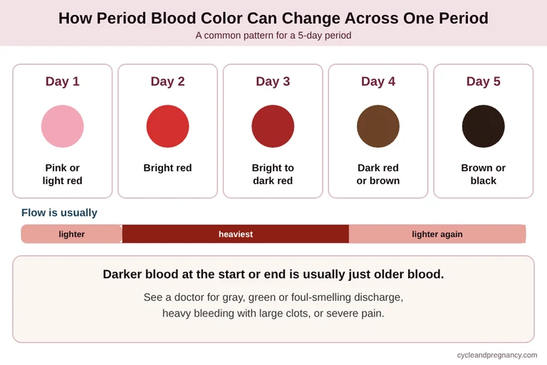How period blood color can change across a five-day period, from pink or light red to bright red, dark red, brown and black