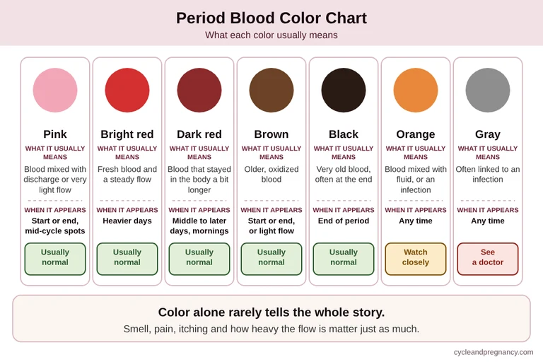 Period blood color chart showing pink, bright red, dark red, brown, black, orange and gray blood, what each usually means and when it appears
