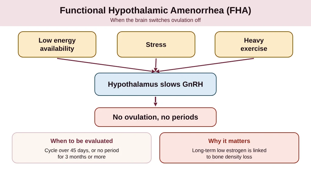Functional hypothalamic amenorrhea: when low energy availability stops periods entirely