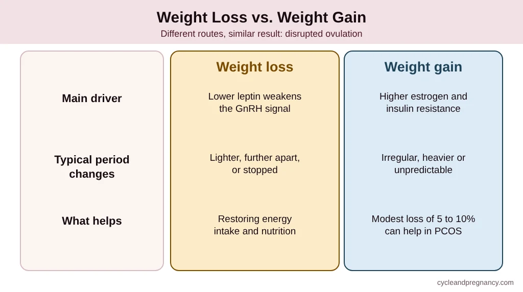How weight loss and weight gain affect periods differently