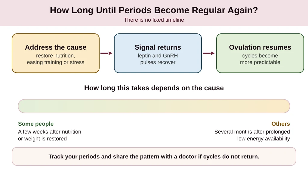 How long until periods become regular again: a recovery timeline
