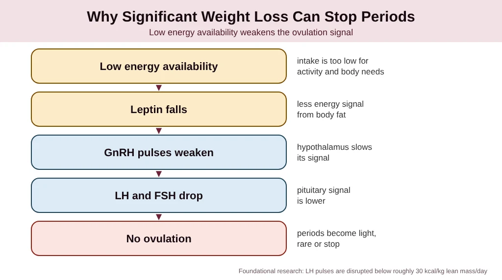 Why significant weight loss can stop periods: the hormonal pathway