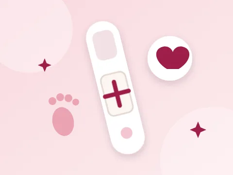 Free Women's Health Calculators for Your Cycle & Pregnancy 6 homepage category pregnancy 480