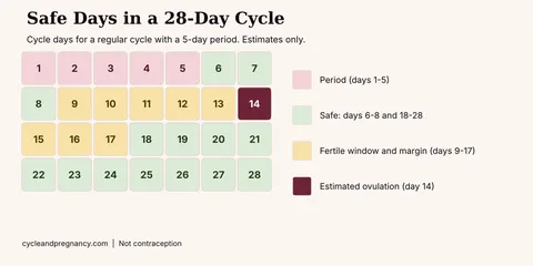 What are safe days: calendar of a 28-day cycle with safe days in green on days 6 to 8 and 18 to 28, fertile days in yellow and ovulation on day 14